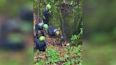 Watch: Dog rescued after falling into sinkhole in Craig County