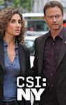 CSI: NY - Season 6