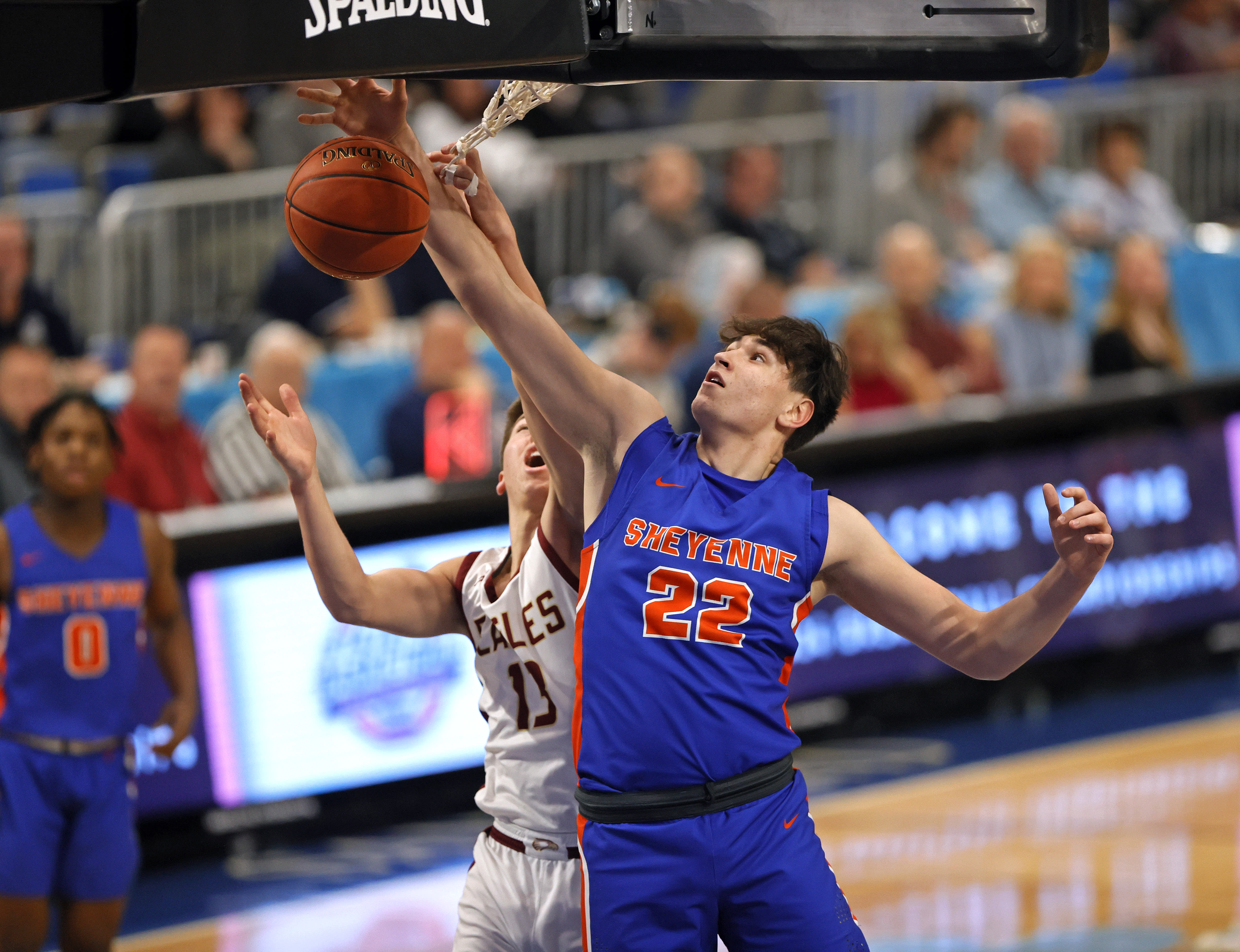 Bison men's basketball team offers scholarship to ND state tournament MVP Tommy Ahneman