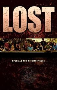 Lost: Missing Pieces