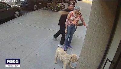 NYC woman, 81, walking dog feels 'lucky' to be alive after video shows man brutally punching her in the face