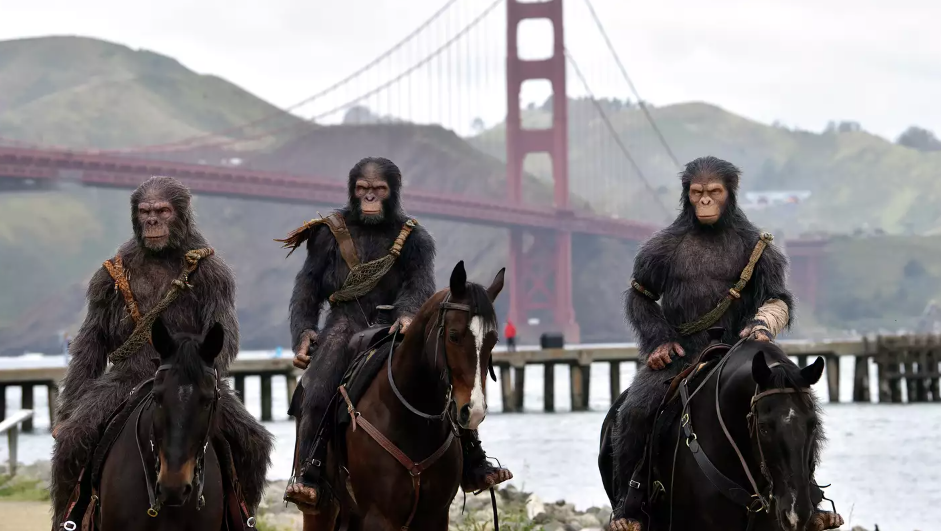 Costumed apes ride on horseback near San Francisco's Golden Gate Bridge