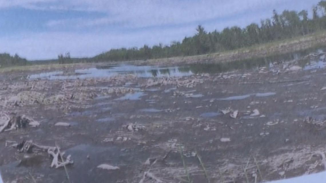 Lake disappearing after dam breaks in northeastern Minnesota