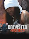 The Brewster Project