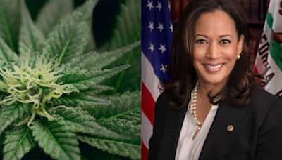 Kamala Harris' U-Turn On Cannabis: Here's Where She Stands On Weed Legalization Now