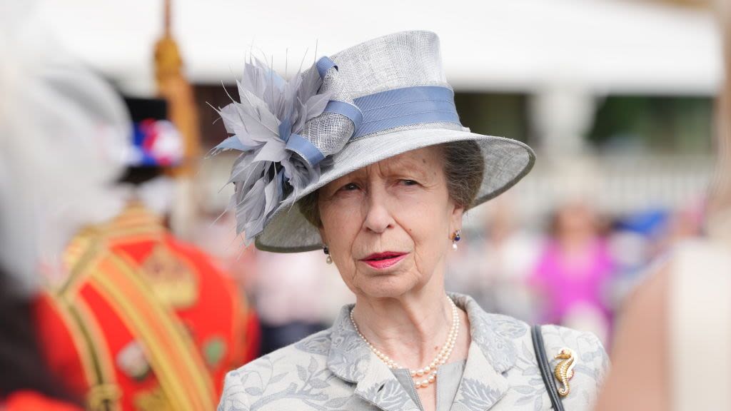 Princess Anne Discharged From Hospital After Suffering Concussion and Minor Injuries