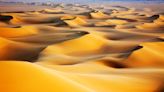 'The stage was now set for the birth and growth of desert dunes': How the Sahara turned from a vast forest to the arid landscape we see today