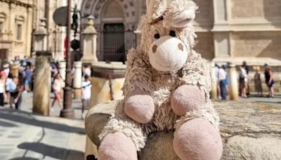 Ofrecen 1.000 euros a quien encuentre a Hilde, un peluche perdido en Sevilla