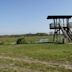 Loxahatchee National Wildlife Refuge