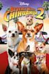 Beverly Hills Chihuahua 2