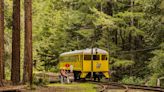 There's a Secret Bar in California's Redwood Forest — and the Only Way to Get There Is by Vintage Train