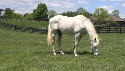 The oldest living Derby winner lives the quiet life in Georgetown