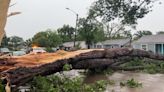 How to manage cleanup and insurance questions after storms