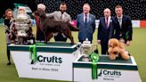 Crufts Dog Show 2023 live: All the latest updates from Day 2