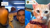 VIDEO: ¿Gatito prisionero? Conoce a Sony, un gato que vive dentro de una cárcel