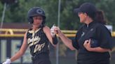 Delphi softball brings the noise in repeat run to sectional championship