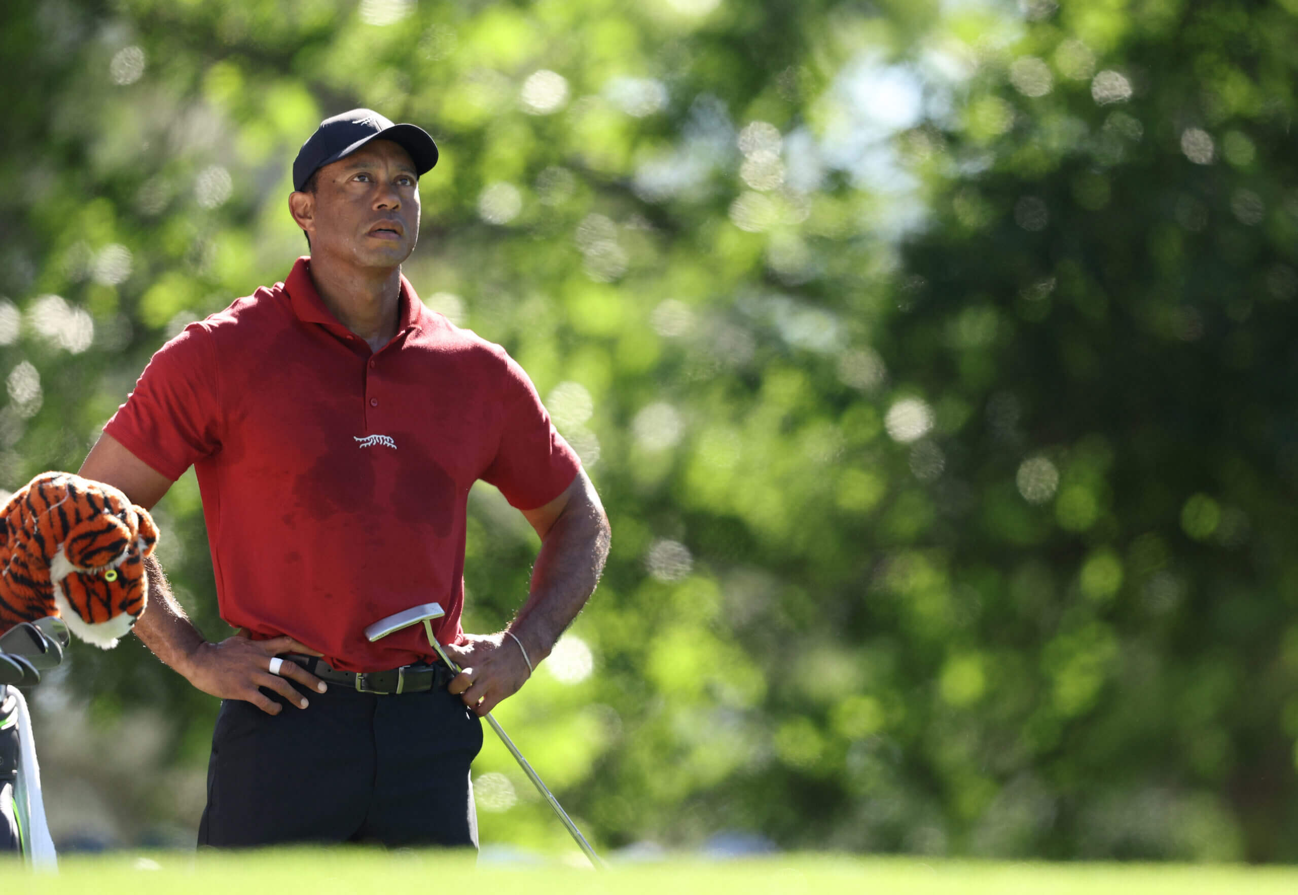 Tiger Woods accepts exemption to play in U.S. Open Championship