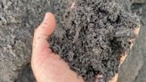 How composting food waste can ensure healthy, absorbent soil that reduces flooding