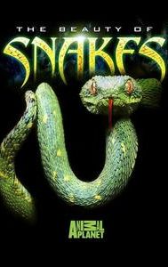 Beauty of Snakes