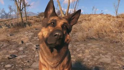 Bethesda adds the Fallout 4 graphics settings the community wanted from the first next-gen update, but the devs "highly recommend" you don't use them
