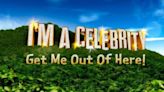 I'm A Celebrity winner unveils surprising new career move