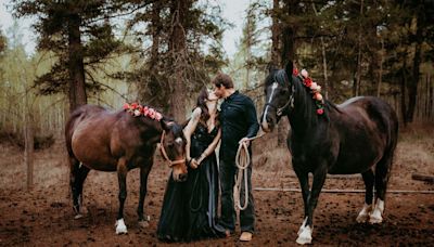 B.C. artist arranges maternity photoshoot for her pregnant horses