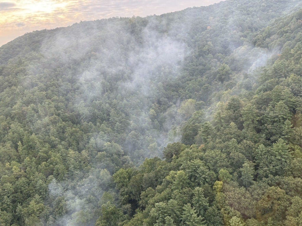 Great Smoky Mountains National Park's uncontained Flint Gap Fire grows to 46 acres