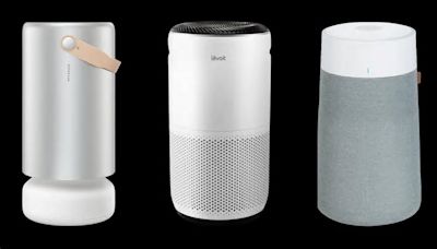 The 6 Best Air Purifiers For Mold To Reduce Airborne Spores