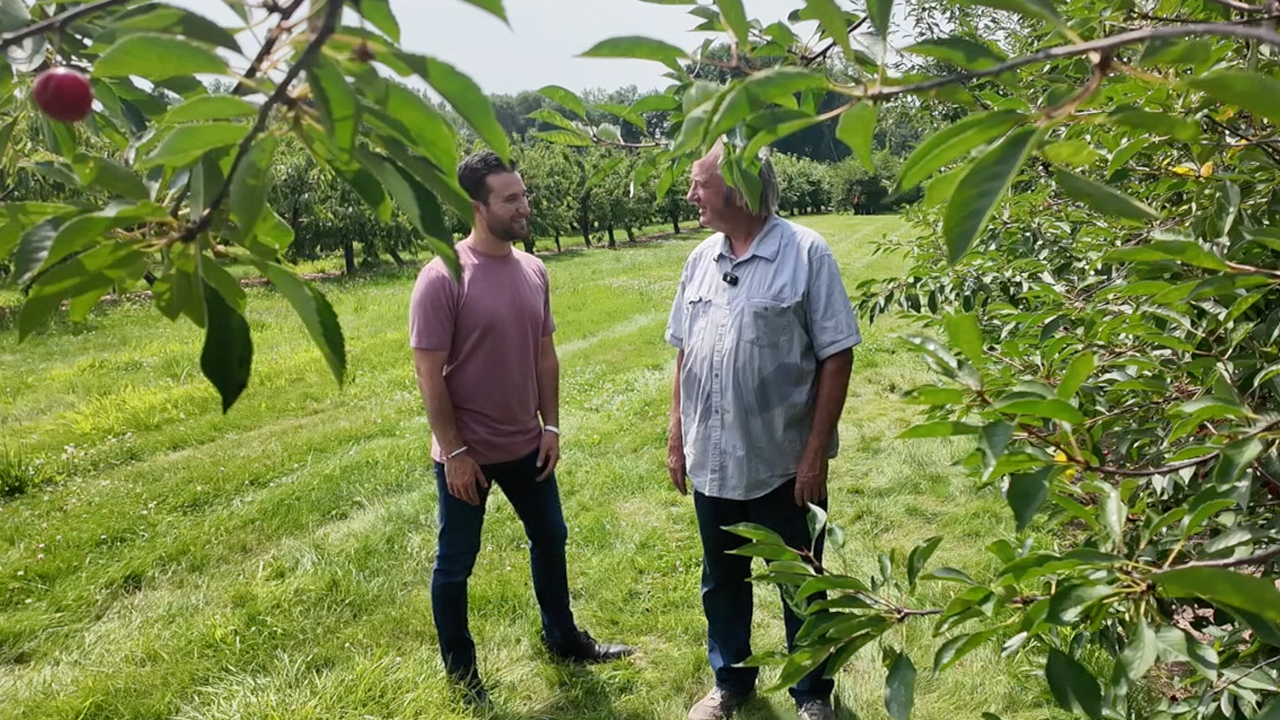 Cherries from this Niagara County orchard are popular among craft beverage companies across New York