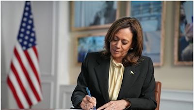 Votación para nominar a Kamala Harris arrancará este jueves sin ningún rival demócrata | El Universal