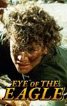 Eye of the Eagle (1987 film)