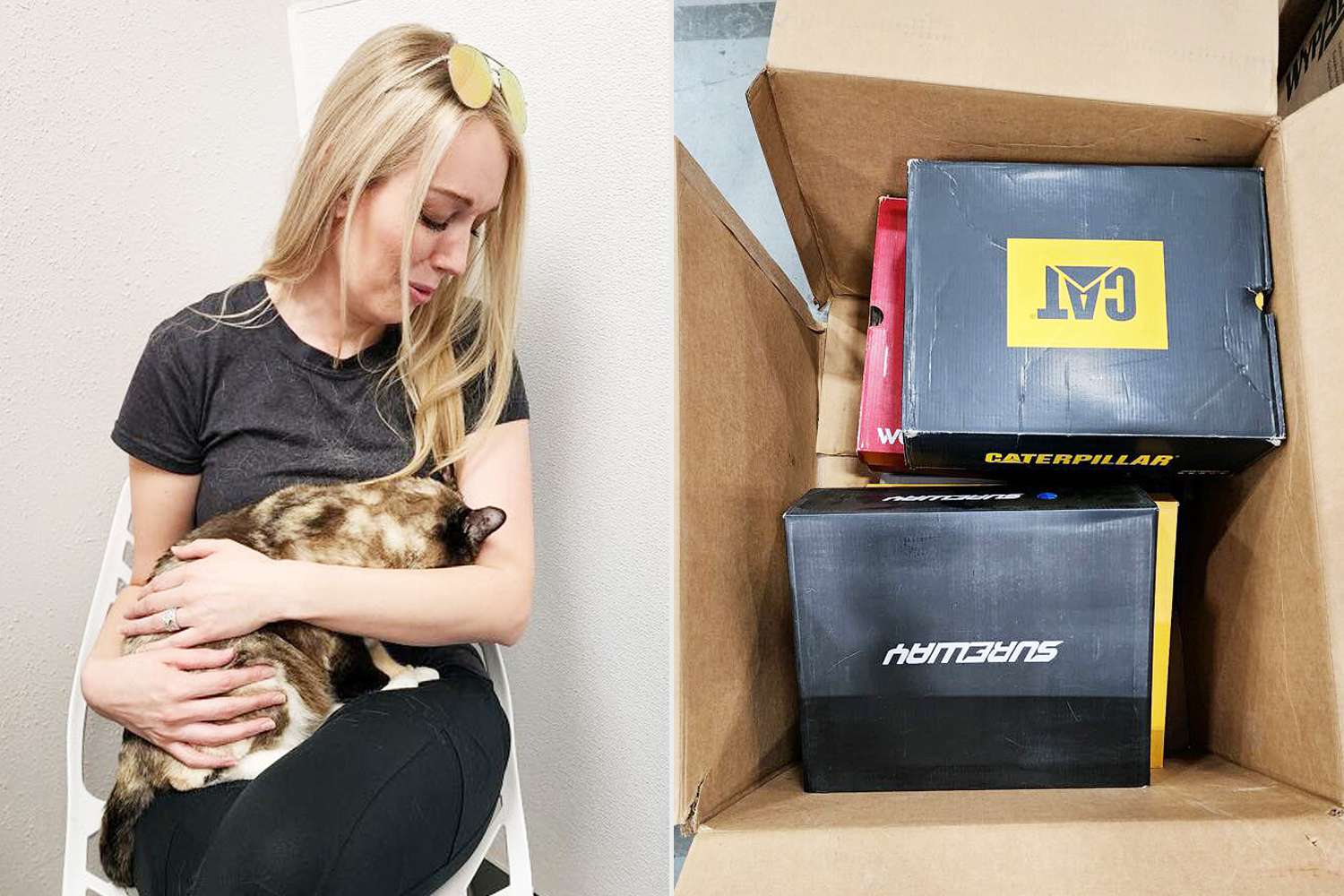 Utah Cat Accidentally Shipped 650 Miles in Amazon Return Reunites with Family After a Week in Transit