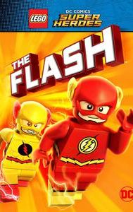 LEGO DC Super Heroes: The Flash