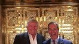 Nigel Farage: eighth time lucky for Brexit figurehead?