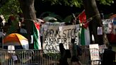Irán atiza protestas en EEUU contra guerra de Gaza para avivar indignación: jefa de inteligencia