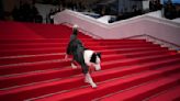 El perro Messi llega a Cannes