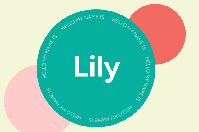 Lily Name Meaning