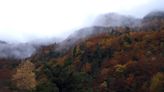 Otoño mágico en el Pirineo aragonés