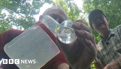 Rivers becoming 'reservoirs of disease' warn Suffolk scientists