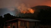 At least 24 dead in Chile as wildfires spread, driving many to flee for safety