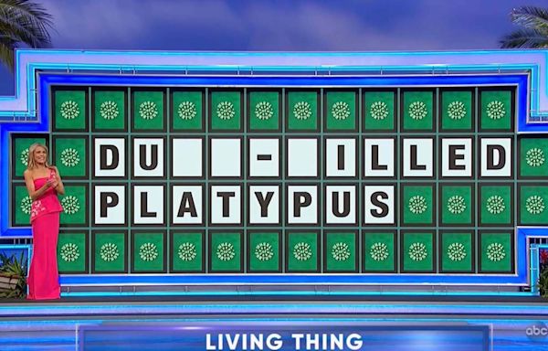 Wheel of Fortune player loses $8k over ‘painful’ miss on 'clear-cut' puzzle