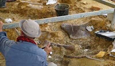 Sur le site d'Angeac-Charente, des dinosaures révélés en 3D et d'autres sortis du sol