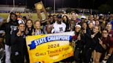 Hamilton girls win state, others make name for themselves