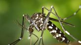 Bexar County ramps up mosquito abatement efforts