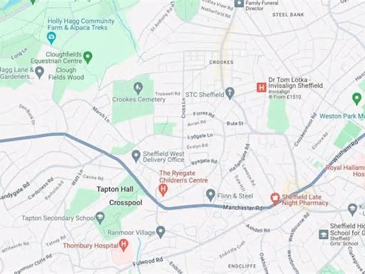 Sheffield City Council elections: the Liberal Democrats are targeting Crookes and Crosspool