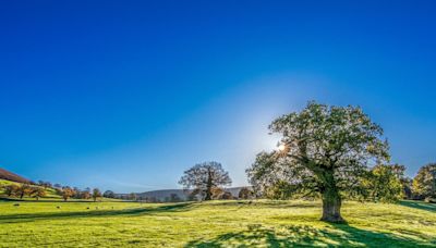 Heat health warning issued for Bolton as temperatures set to hit highs of 25°C