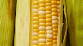 How Healthy Is Sweet Corn?