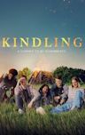 Kindling (2023 film)