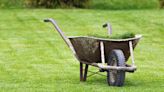 What Should You Do With Grass Clippings After Mowing Your Lawn? An Expert Weighs In