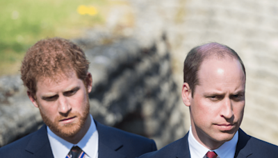 Prince Harry's Feud With Prince William Reportedly Started Long Before Meghan Markle